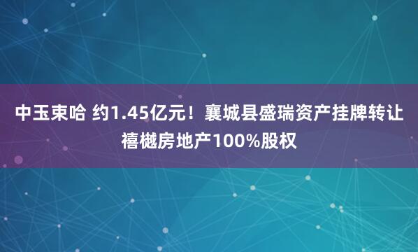 中玉束哈 约1.45亿元！襄城县盛瑞资产挂牌转让禧樾房地产100%股权
