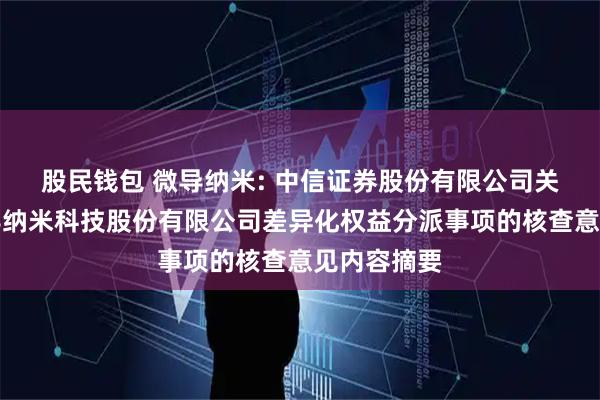 股民钱包 微导纳米: 中信证券股份有限公司关于江苏微导纳米科技股份有限公司差异化权益分派事项的核查意见内容摘要