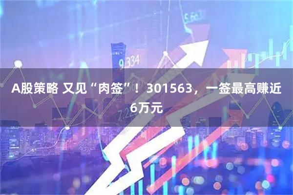 A股策略 又见“肉签”！301563，一签最高赚近6万元
