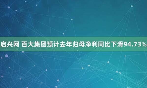 启兴网 百大集团预计去年归母净利同比下滑94.73%